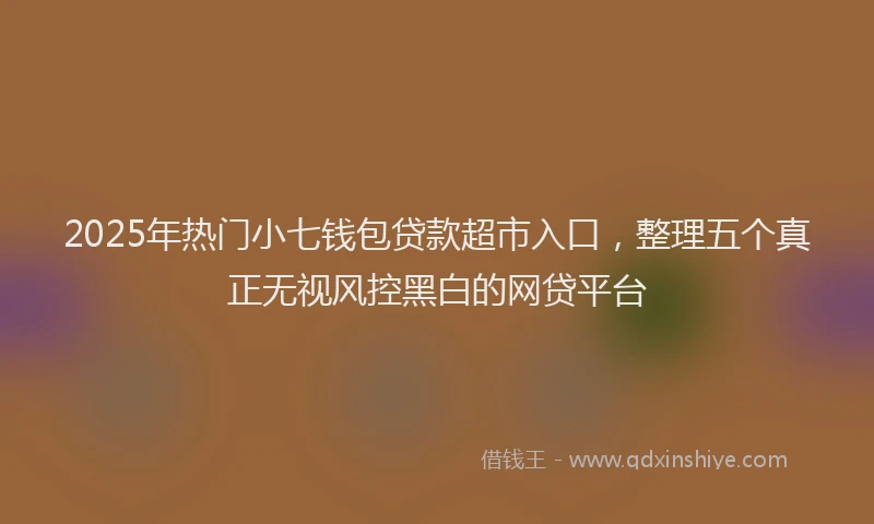 2025年热门小七钱包贷款超市入口，整理五个真正无视风控黑白的网贷平台