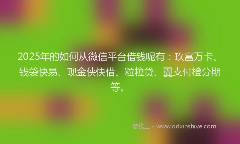 2025年的如何从微信平台借钱呢有：玖富万卡、钱袋快易、现金侠快借、粒粒贷、翼支付橙分期等。