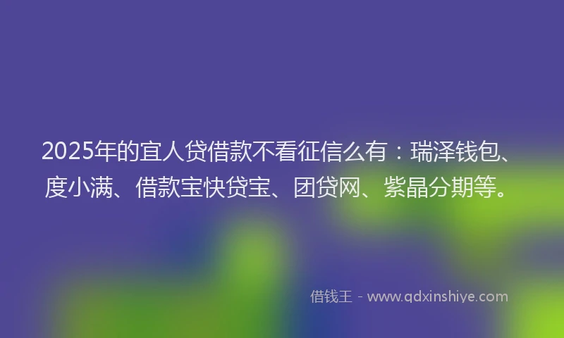 2025年的宜人贷借款不看征信么有：瑞泽钱包、度小满、借款宝快贷宝、团贷网、紫晶分期等。