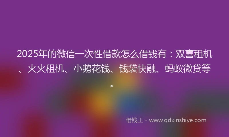 2025年的微信一次性借款怎么借钱有：双喜租机、火火租机、小鹅花钱、钱袋快融、蚂蚁微贷等。