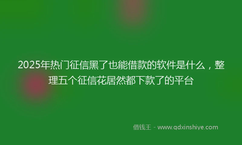 2025年热门征信黑了也能借款的软件是什么，整理五个征信花居然都下款了的平台