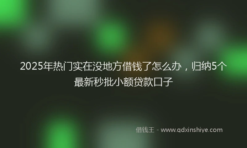 2025年热门实在没地方借钱了怎么办，归纳5个最新秒批小额贷款口子