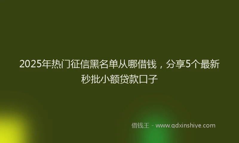 2025年热门征信黑名单从哪借钱，分享5个最新秒批小额贷款口子