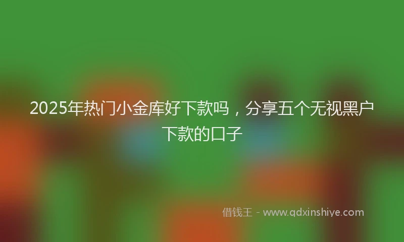 2025年热门小金库好下款吗，分享五个无视黑户下款的口子