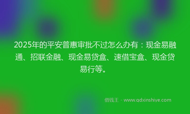 2025年的平安普惠审批不过怎么办有：现金易融通、招联金融、现金易贷盒、速借宝盒、现金贷易行等。
