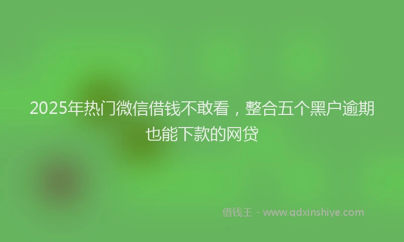 2025年热门微信借钱不敢看，整合五个黑户逾期也能下款的网贷
