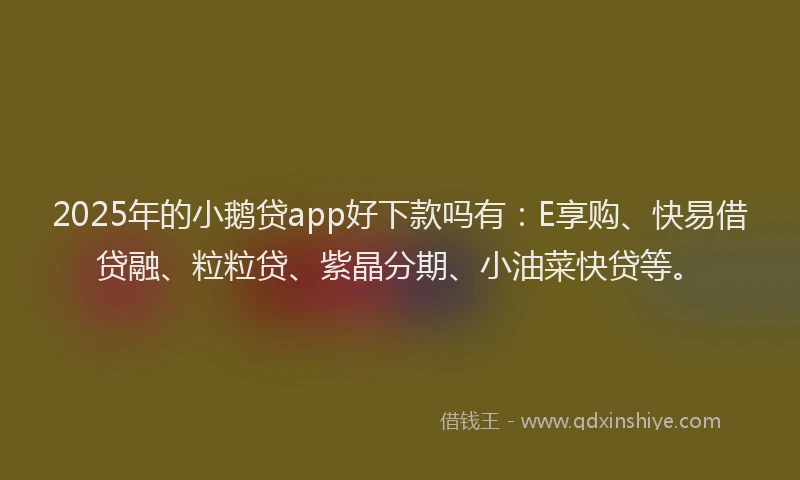 2025年的小鹅贷app好下款吗有：E享购、快易借贷融、粒粒贷、紫晶分期、小油菜快贷等。