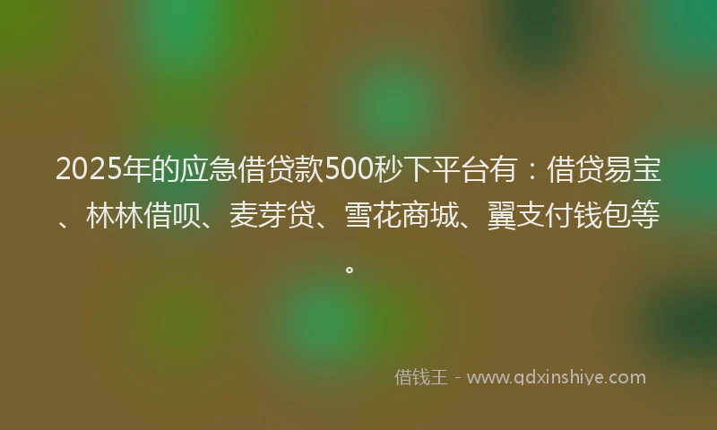 2025年的应急借贷款500秒下平台有：借贷易宝、林林借呗、麦芽贷、雪花商城、翼支付钱包等。