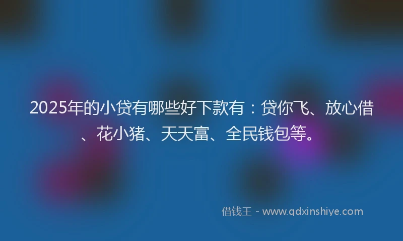 2025年的小贷有哪些好下款有：贷你飞、放心借、花小猪、天天富、全民钱包等。