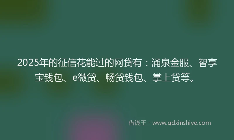 2025年的征信花能过的网贷有：涌泉金服、智享宝钱包、e微贷、畅贷钱包、掌上贷等。