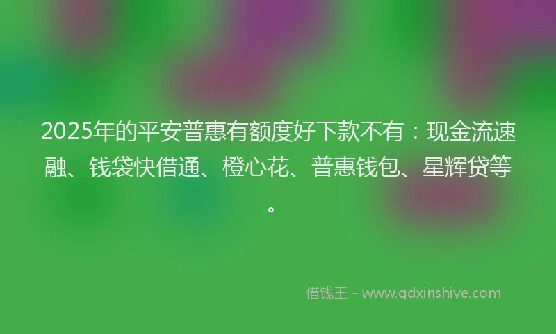 2025年的平安普惠有额度好下款不有：现金流速融、钱袋快借通、橙心花、普惠钱包、星辉贷等。
