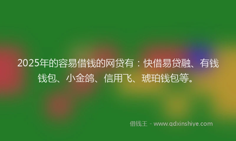2025年的容易借钱的网贷有：快借易贷融、有钱钱包、小金鸽、信用飞、琥珀钱包等。