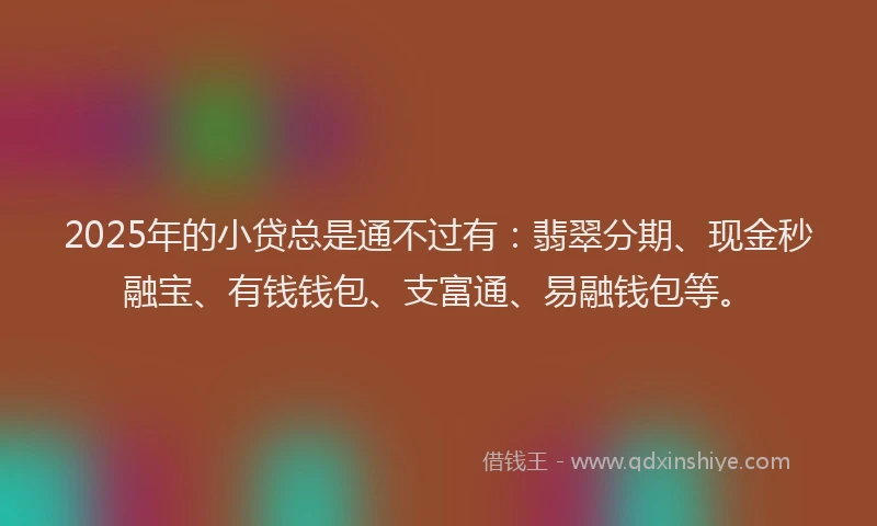 2025年的小贷总是通不过有：翡翠分期、现金秒融宝、有钱钱包、支富通、易融钱包等。