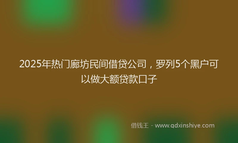 2025年热门廊坊民间借贷公司，罗列5个黑户可以做大额贷款口子
