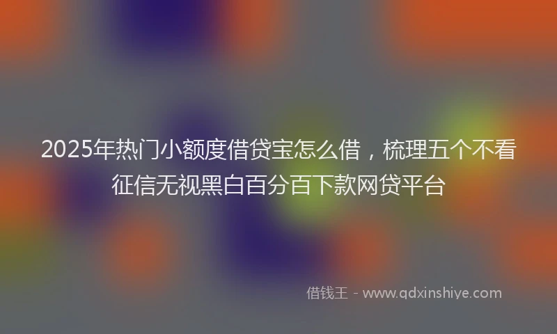 2025年热门小额度借贷宝怎么借，梳理五个不看征信无视黑白百分百下款网贷平台