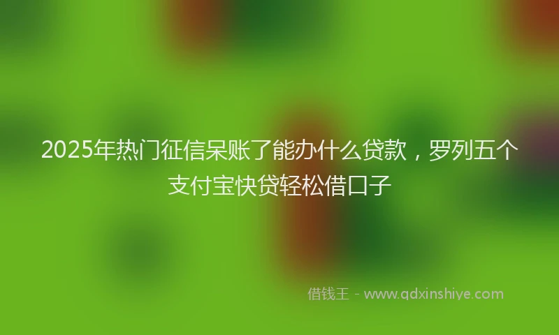 2025年热门征信呆账了能办什么贷款，罗列五个支付宝快贷轻松借口子