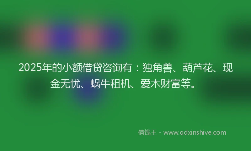 2025年的小额借贷咨询有：独角兽、葫芦花、现金无忧、蜗牛租机、爱木财富等。
