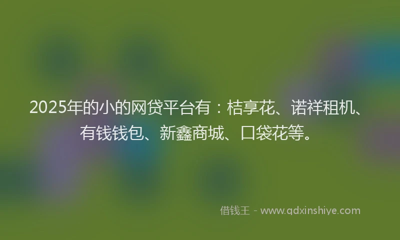 2025年的小的网贷平台有：桔享花、诺祥租机、有钱钱包、新鑫商城、口袋花等。