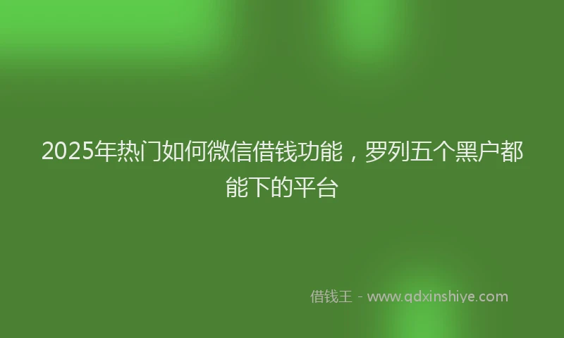 2025年热门如何微信借钱功能，罗列五个黑户都能下的平台