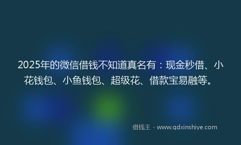 2025年的微信借钱不知道真名有：现金秒借、小花钱包、小鱼钱包、超级花、借款宝易融等。