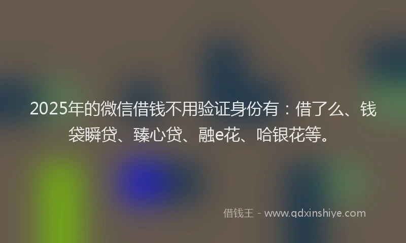 2025年的微信借钱不用验证身份有：借了么、钱袋瞬贷、臻心贷、融e花、哈银花等。