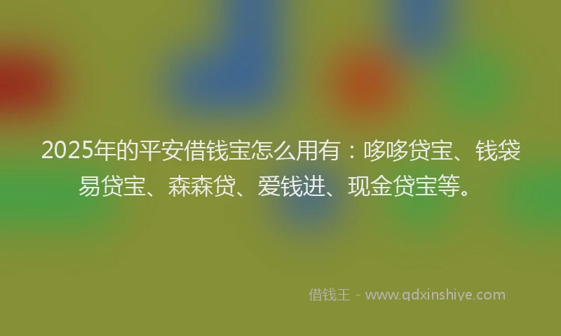 2025年的平安借钱宝怎么用有：哆哆贷宝、钱袋易贷宝、森森贷、爱钱进、现金贷宝等。