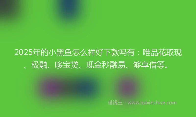 2025年的小黑鱼怎么样好下款吗有：唯品花取现、极融、哆宝贷、现金秒融易、够享借等。