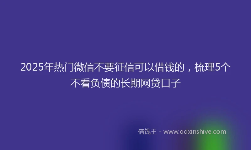 2025年热门微信不要征信可以借钱的，梳理5个不看负债的长期网贷口子