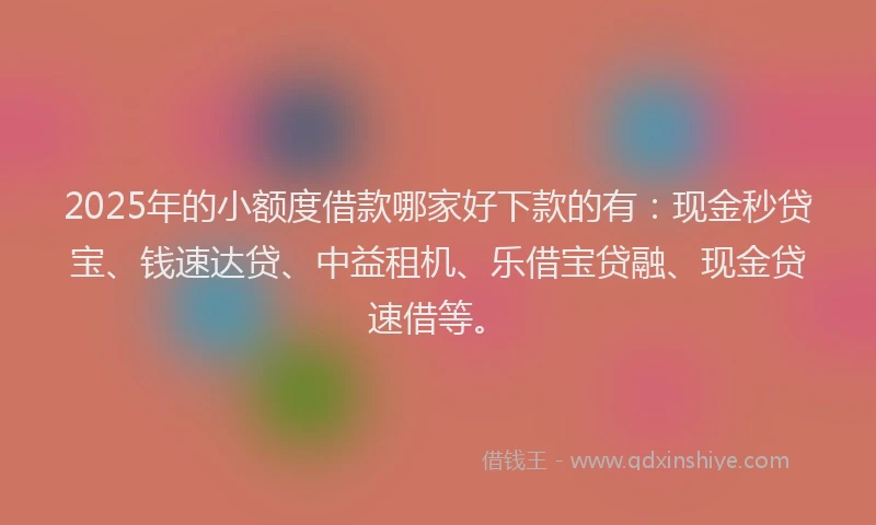 2025年的小额度借款哪家好下款的有：现金秒贷宝、钱速达贷、中益租机、乐借宝贷融、现金贷速借等。