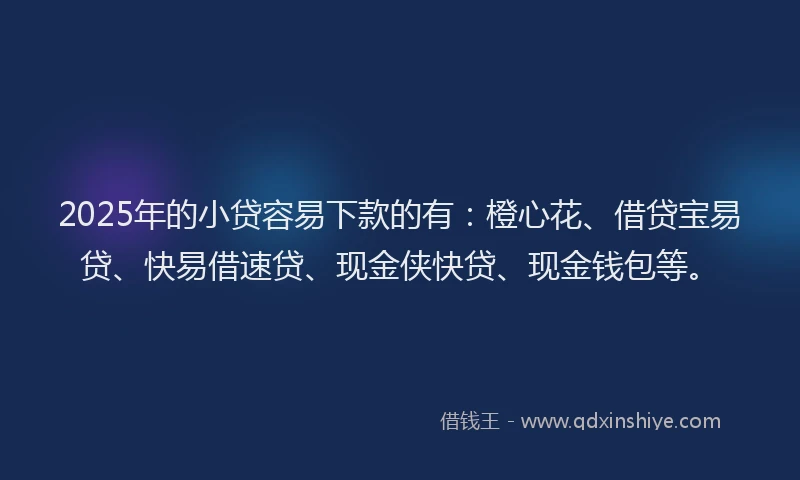 2025年的小贷容易下款的有：橙心花、借贷宝易贷、快易借速贷、现金侠快贷、现金钱包等。