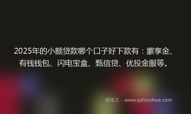 2025年的小额贷款哪个口子好下款有：蒙享金、有钱钱包、闪电宝盒、甄信贷、优投金服等。