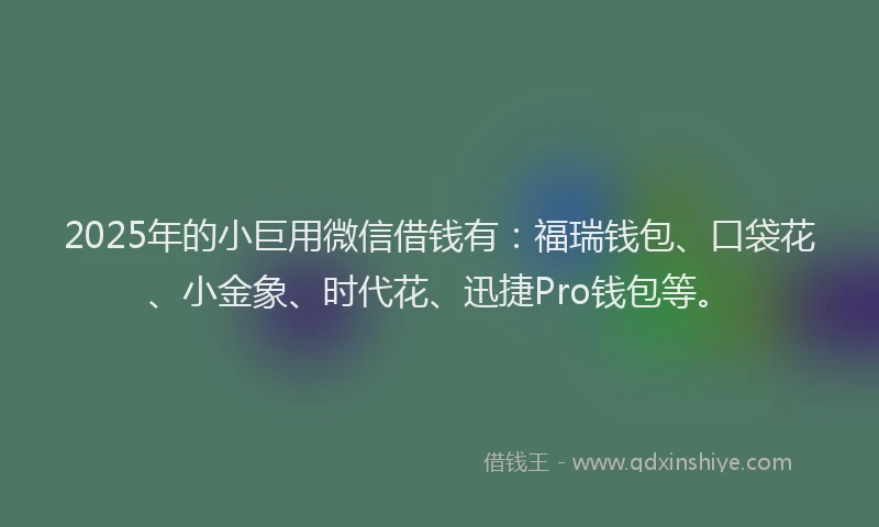 2025年的小巨用微信借钱有：福瑞钱包、口袋花、小金象、时代花、迅捷Pro钱包等。