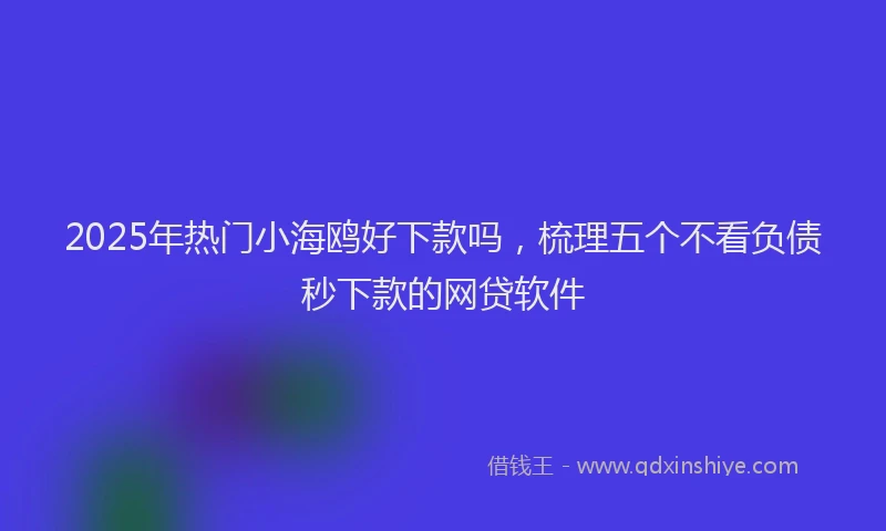 2025年热门小海鸥好下款吗，梳理五个不看负债秒下款的网贷软件