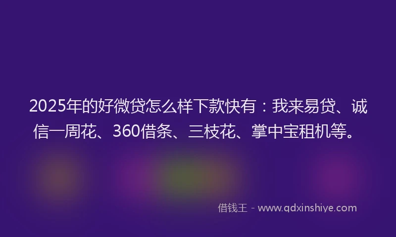 2025年的好微贷怎么样下款快有：我来易贷、诚信一周花、360借条、三枝花、掌中宝租机等。