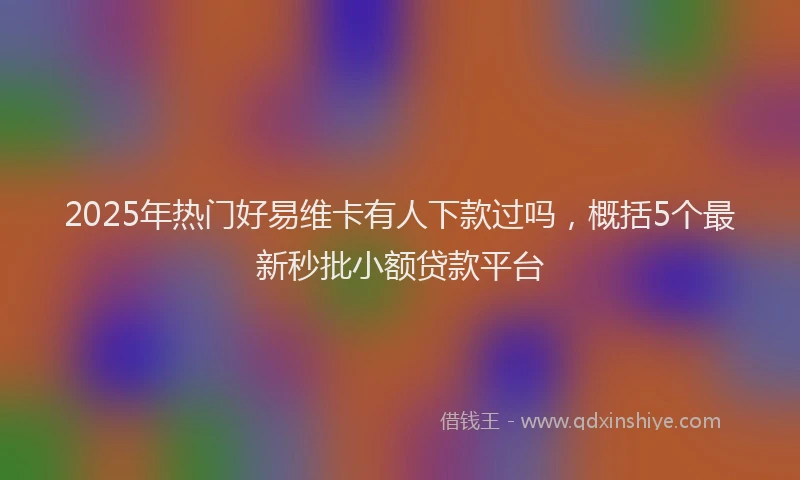 2025年热门好易维卡有人下款过吗，概括5个最新秒批小额贷款平台