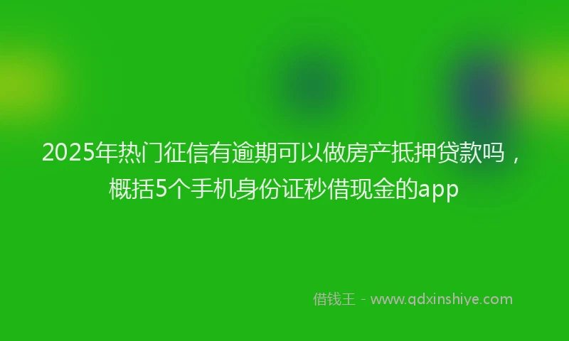 2025年热门征信有逾期可以做房产抵押贷款吗，概括5个手机身份证秒借现金的app