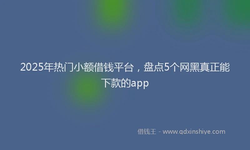 2025年热门小额借钱平台，盘点5个网黑真正能下款的app