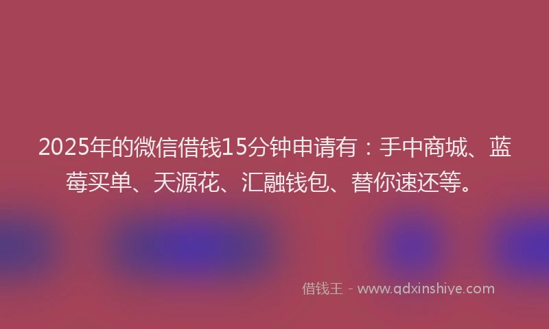 2025年的微信借钱15分钟申请有：手中商城、蓝莓买单、天源花、汇融钱包、替你速还等。