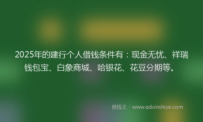 2025年的建行个人借钱条件有：现金无忧、祥瑞钱包宝、白象商城、哈银花、花豆分期等。