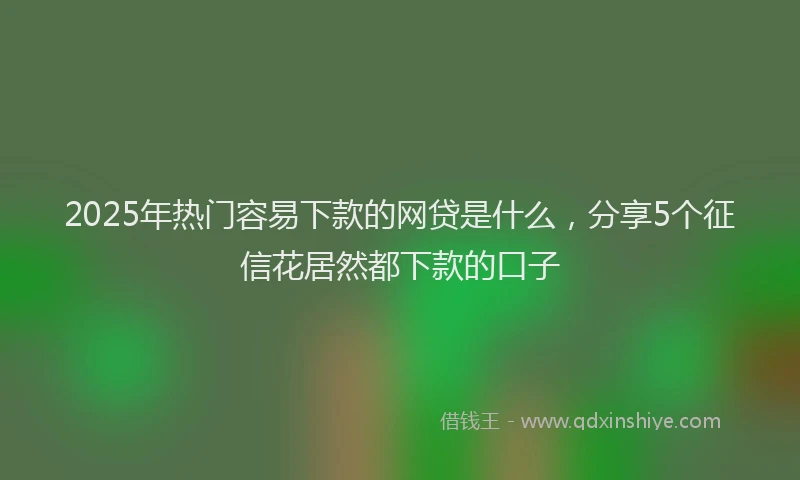 2025年热门容易下款的网贷是什么，分享5个征信花居然都下款的口子