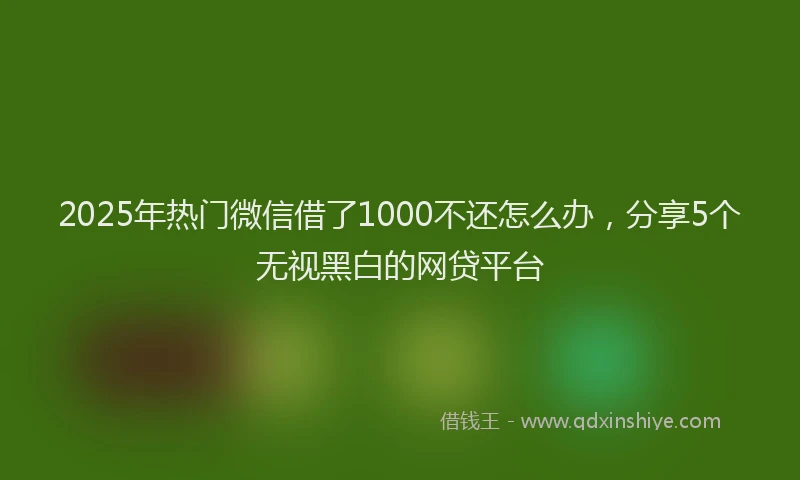 2025年热门微信借了1000不还怎么办，分享5个无视黑白的网贷平台