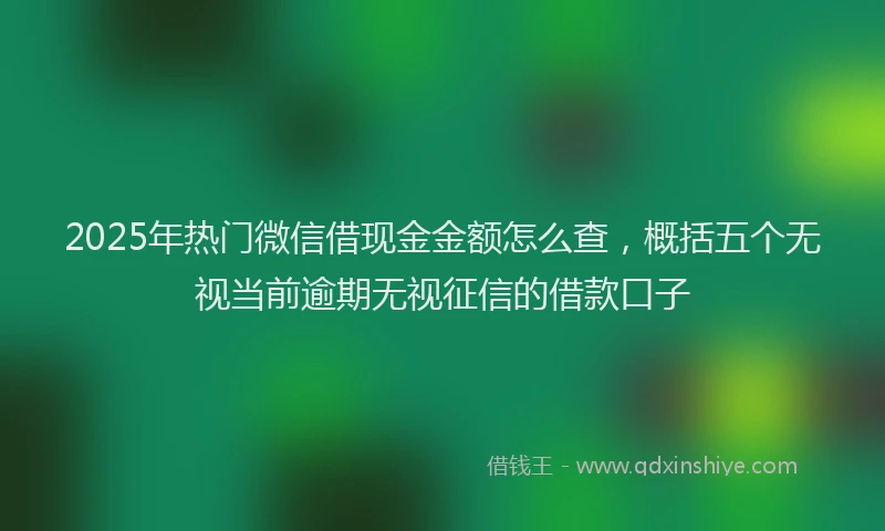 2025年热门微信借现金金额怎么查，概括五个无视当前逾期无视征信的借款口子
