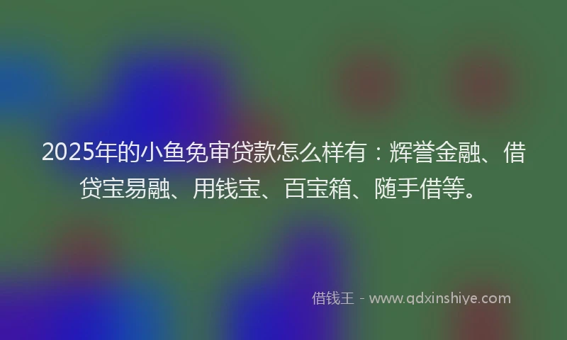 2025年的小鱼免审贷款怎么样有：辉誉金融、借贷宝易融、用钱宝、百宝箱、随手借等。