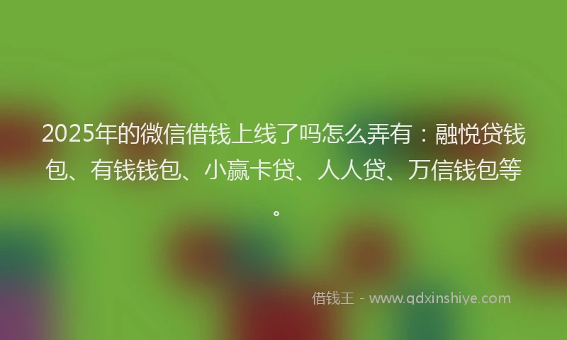 2025年的微信借钱上线了吗怎么弄有：融悦贷钱包、有钱钱包、小赢卡贷、人人贷、万信钱包等。