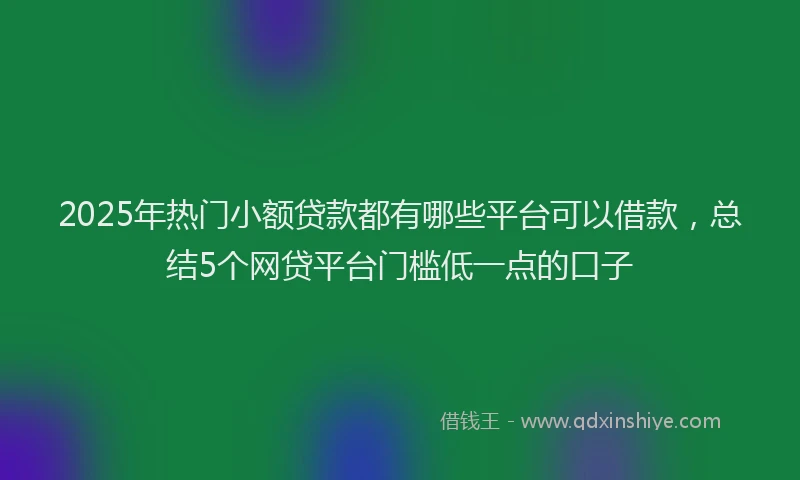 2025年热门小额贷款都有哪些平台可以借款，总结5个网贷平台门槛低一点的口子