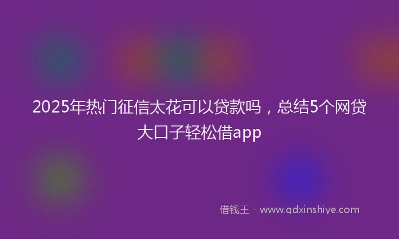 2025年热门征信太花可以贷款吗，总结5个网贷大口子轻松借app