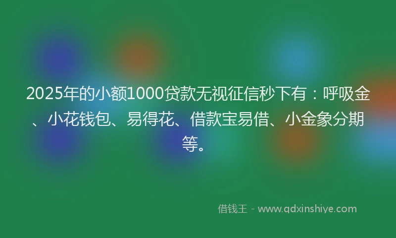 2025年的小额1000贷款无视征信秒下有：呼吸金、小花钱包、易得花、借款宝易借、小金象分期等。