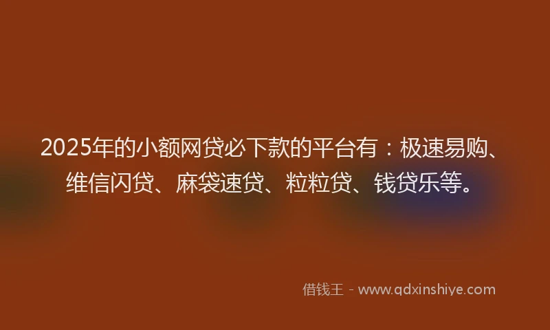 2025年的小额网贷必下款的平台有：极速易购、维信闪贷、麻袋速贷、粒粒贷、钱贷乐等。