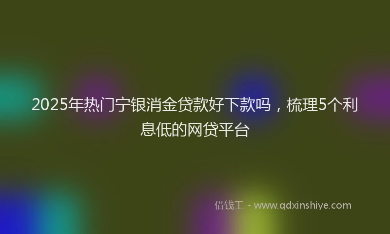 2025年热门宁银消金贷款好下款吗，梳理5个利息低的网贷平台
