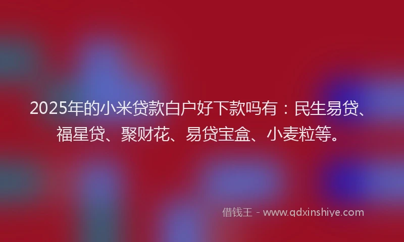 2025年的小米贷款白户好下款吗有：民生易贷、福星贷、聚财花、易贷宝盒、小麦粒等。